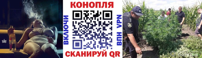гидра как зайти  Кингисепп  Бошки марихуана гибрид 